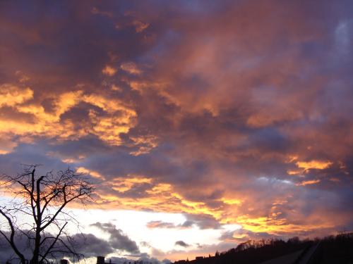 DSC02006