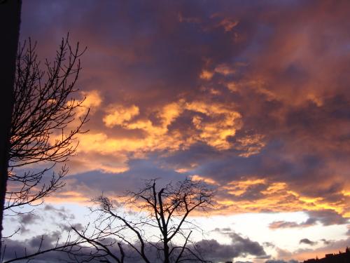 DSC02008
