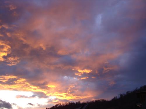 DSC02009