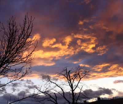 DSC020101