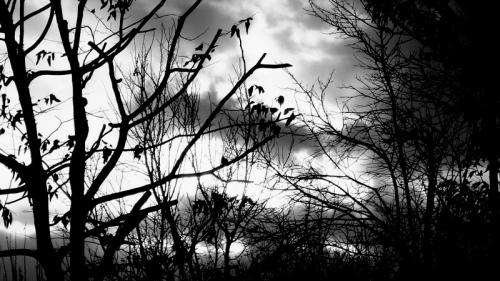 DSC020901