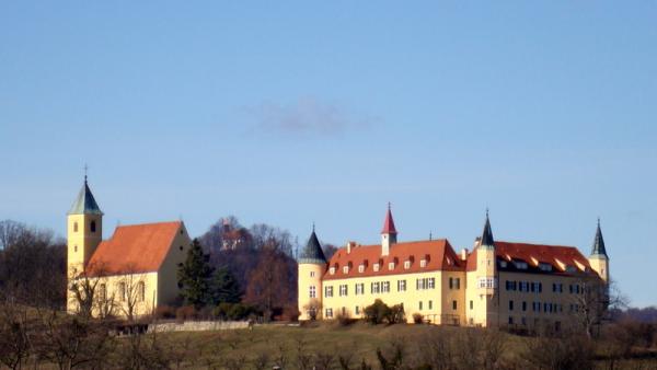 DSC02214