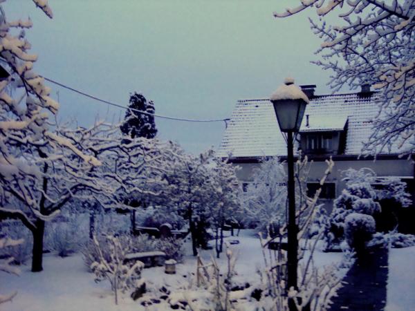 DSC02730