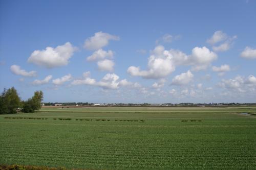 DSC038321