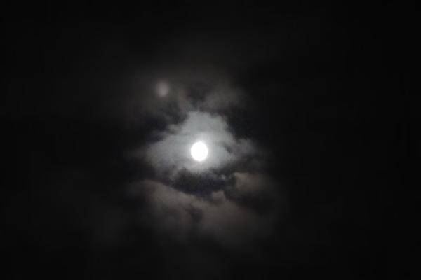 DSC04004