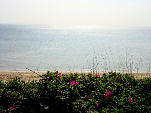DSC04153