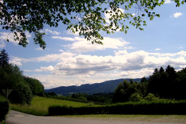 DSC046971