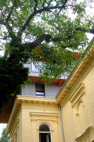 DSC05348