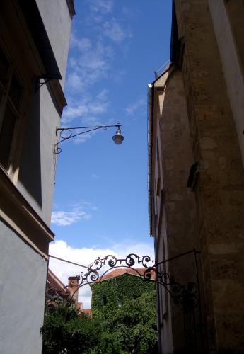 DSC05406