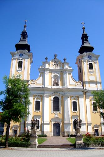 DSC05662