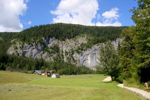 DSC06095
