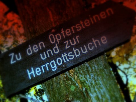 HPIM0578