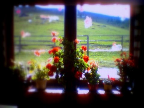 PIC000019