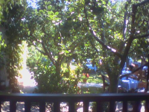 PIC000045