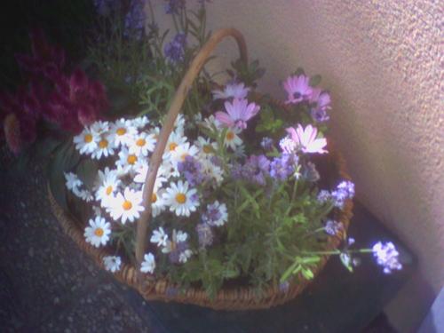 PIC0000531