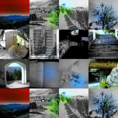 collage3