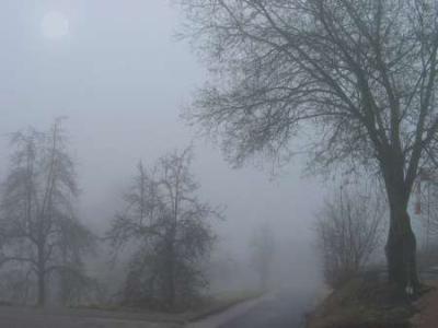 nebel-mit-sonne