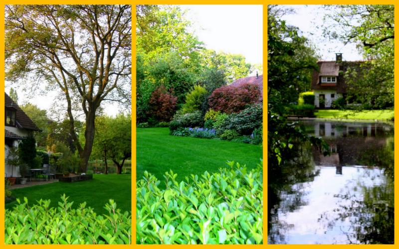 pfingsten11