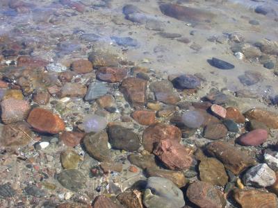 Das-wasser-ganz-klar