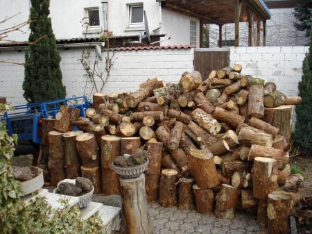Holzhaufen1