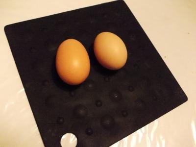 Eier