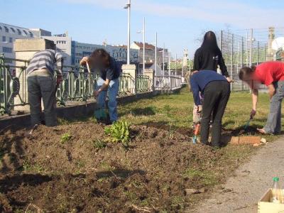Beim Anlegen der Beete