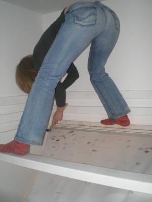 ass