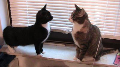 Maya-und-Lina