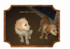 2-Hunde