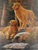 Goldies