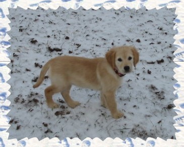 nochmal-im-Schnee