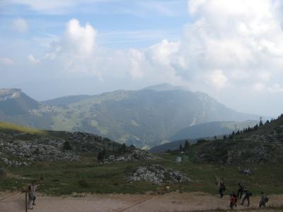IMG_5224