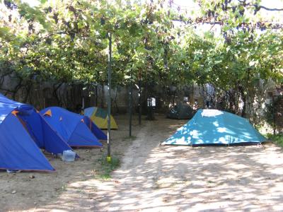 IMG_5249