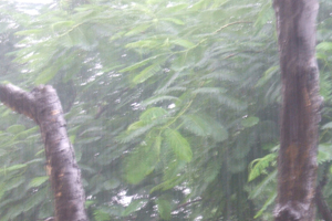 regen
