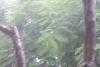 regen