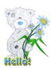Hello