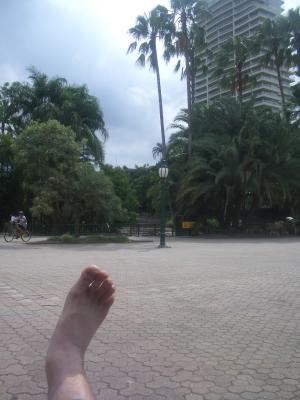 Flug-und-Lake-Macquarie-048