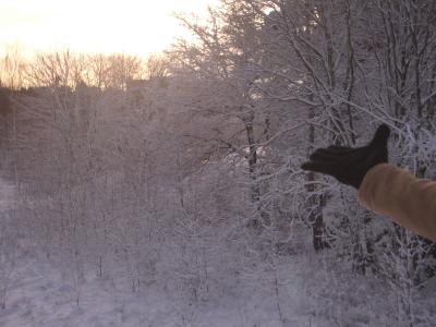 Stockholm-Auslandssemester-075