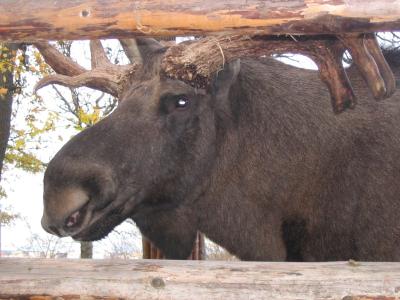 Stockholm-Auslandssemester-182