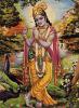 Offenbarer göttlicher Wahrheiten.
<br />
Krishna gilt als die achte Inkarnation Vishnus. Es gibt viele Krishna-Vorstellungen. Die bekanntesten sind Krishna als der blauhäutige, flötenspielende Hirtengott, Krishna der Gott der Kuhherde und die bedeutendste Verkörperung als Kriegsheld im Mahabharata-Epos. 