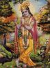 Offenbarer göttlicher Wahrheiten.<br />
Krishna gilt als die achte Inkarnation Vishnus. Es gibt viele Krishna-Vorstellungen. Die bekanntesten sind Krishna als der blauhäutige, flötenspielende Hirtengott, Krishna der Gott der Kuhherde und die bedeutendste Verkörperung als Kriegsheld im Mahabharata-Epos. 
