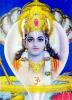 Der ewiger Weltenherr.
<br />

<br />
Vishnu gilt als der Welterhalter. Gemeinsam mit Shiva gehört er zu den wichtigsten und meist verehrtesten Götter im Hinduismus. Sein Reittier ist der Vogel Garuda. Seine Gemahlin ist Lakshmi, die Göttin für Glück und Schönheit.
<br />
Vishnu hat die Aufgabe, Götter und Menschen zu behüten, und alles Böse zu bekämpfen. Er wird mit vier Armen dargestellt, in denen er einen Lichtkranz als Symbol der Sonne, ein Muschelhorn, eine Lotusblüte und eine grosse Keule hält.
<br />
Vishnu erscheint auch als Wiedergeburt, die im Hinduismus als Avataras bezeichnet werden. Als seine wichtigsten Inkarnationen gelten im Hinduismus Rama, Krishna und Buddha. Dadurch wird der Buddhismus als Teil des Hinduismus gesehen.