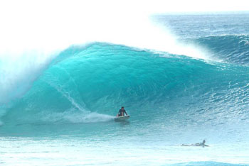 jekylla_highsurf