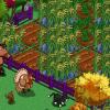 jerrycatfarm13