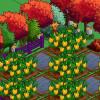 jerrycatfarm15