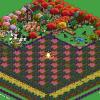 jerrycatfarm21