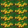 jerrycatfarm28