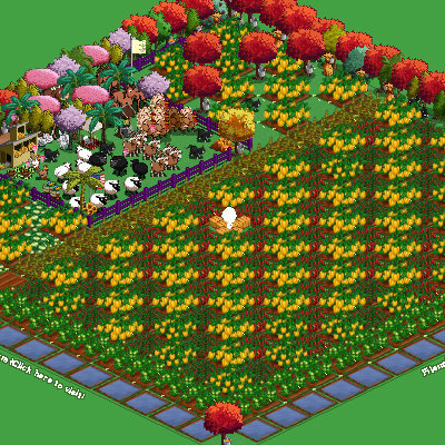 jerrycatfarm32