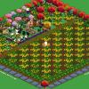 jerrycatfarm32