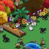 jerrycatfarm38